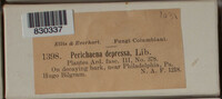 Image Associated With the Occurence